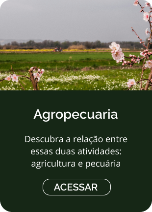 Agropecuária
